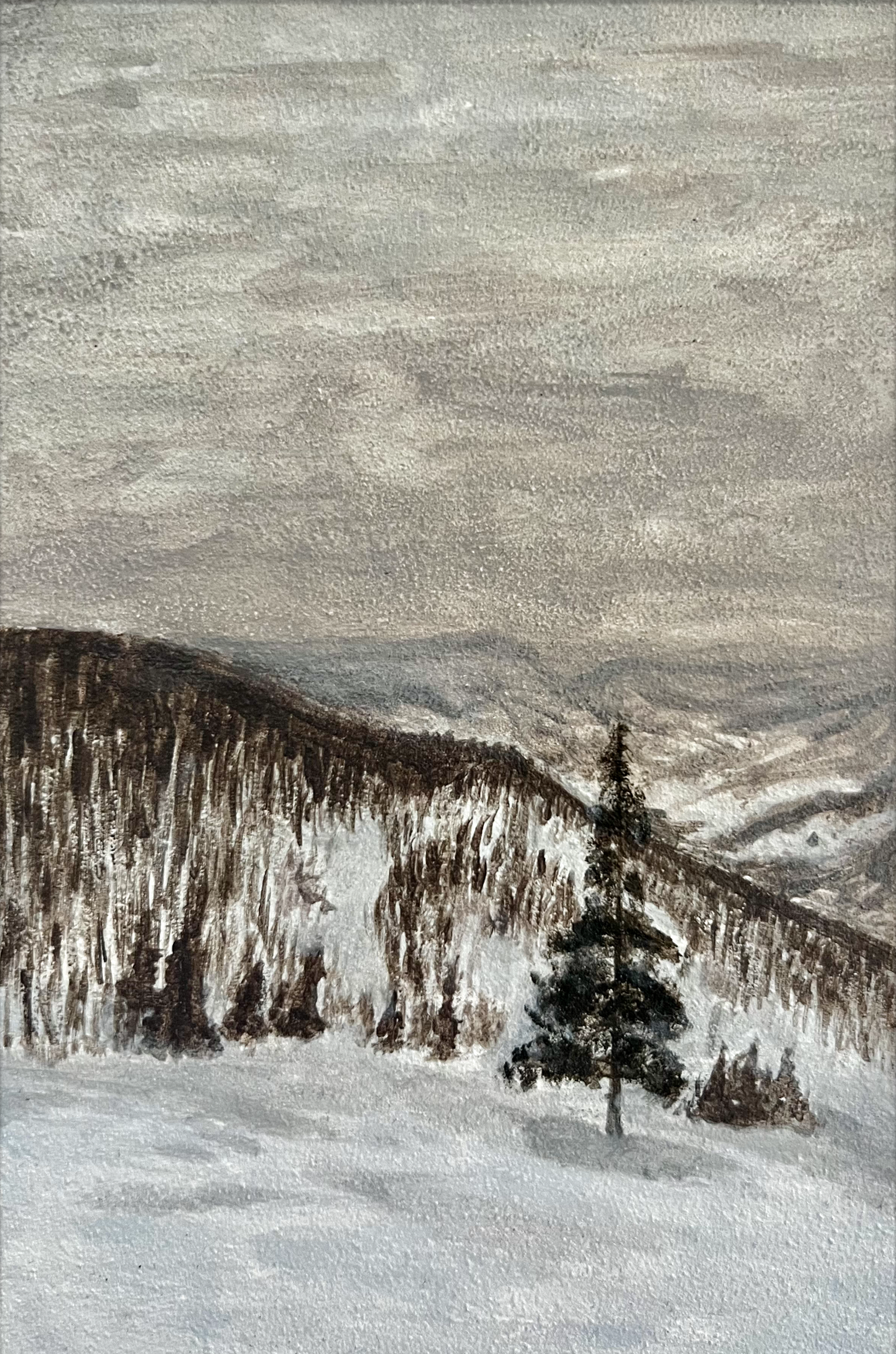 Colorado Painting